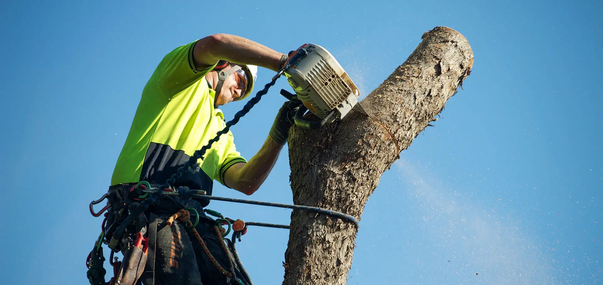 Certified arborist from Palatka Tree Pros performing professional tree removal with safety gear and chainsaw in Palatka, Florida.