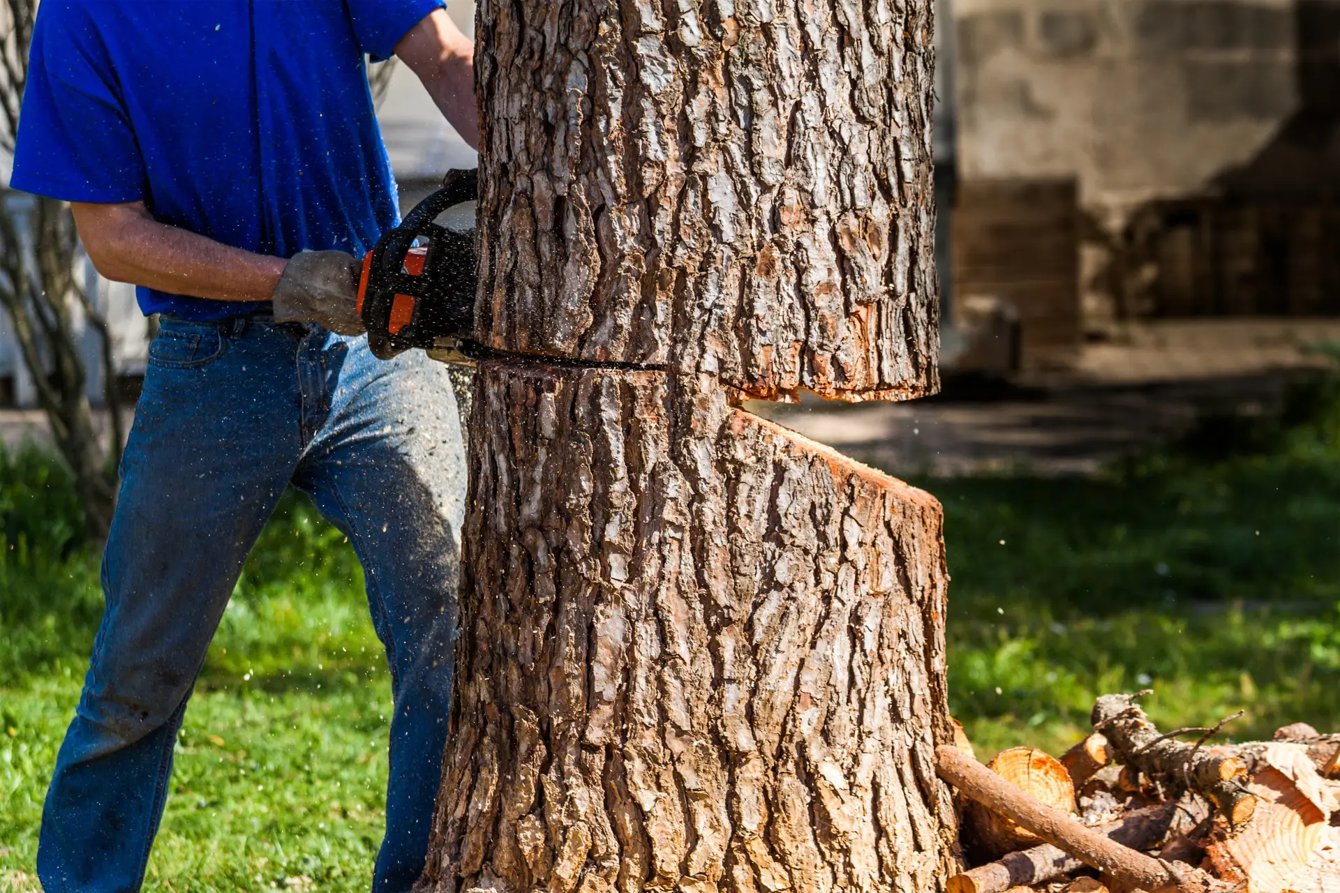 Palatka Tree Pros arborist cutting down a large tree trunk with a chainsaw during a professional tree removal service in Palatka, Florida.